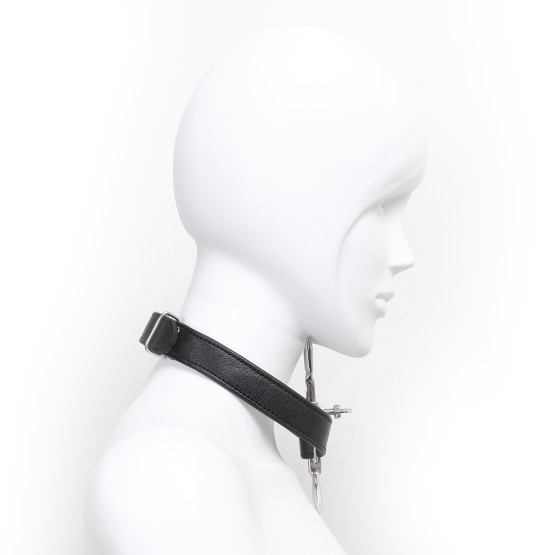 Adjustable Double Neck Collar with Pins
