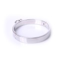 Steel Collar - Large
