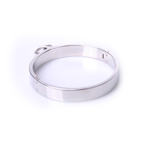 Steel Collar - Large