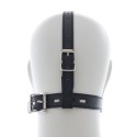 Lid Head Harness Gag
