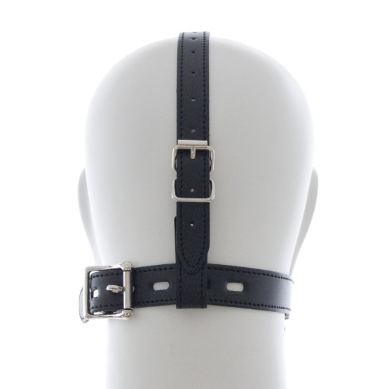 Lid Head Harness Gag