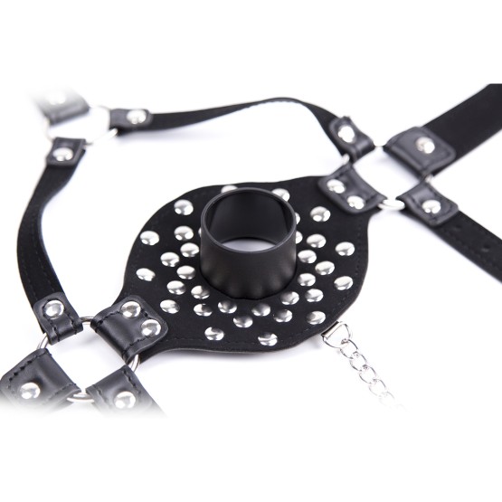 Lid Head Harness Gag