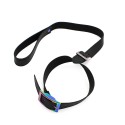Leather Collar with leash Rainbow