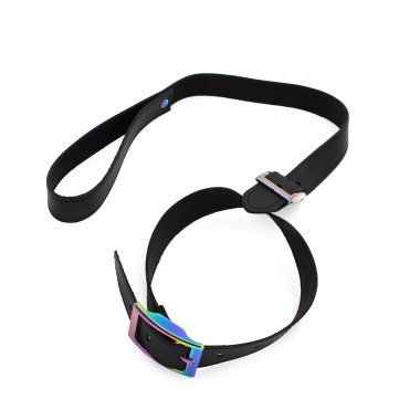 Leather Collar with leash Rainbow