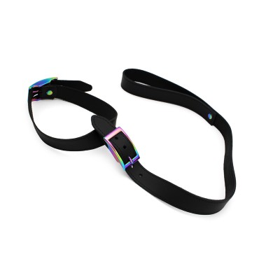 Leather Collar with leash Rainbow