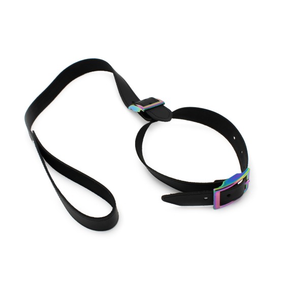 Leather Collar with leash Rainbow