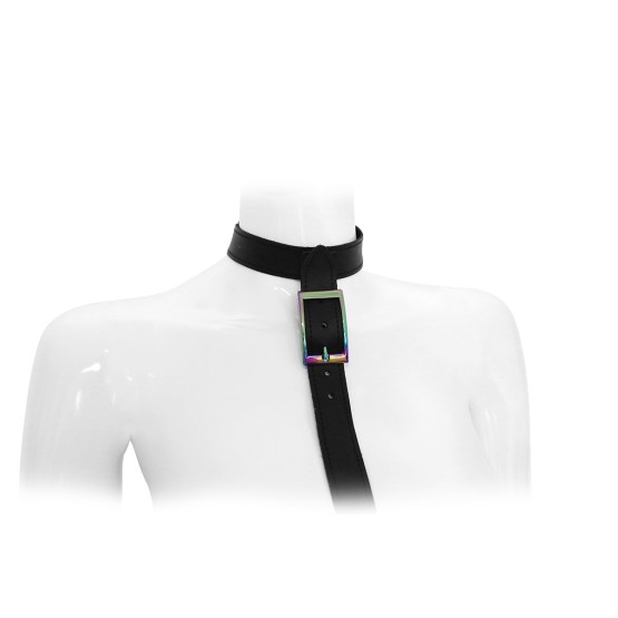 Leather Collar with leash Rainbow