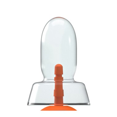 Dinoo Primal - Bracho Clear