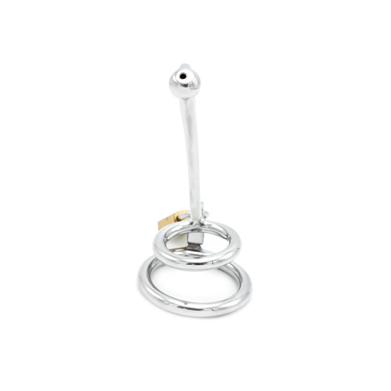 Penis Lock with Hollow Curved Penis Stick