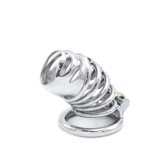Modern Torture Chastity Device