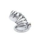 Modern Torture Chastity Device