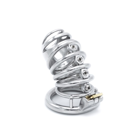 Modern Torture Chastity Device