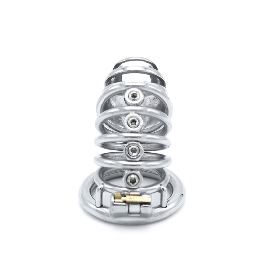 Modern Torture Chastity Device