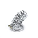 Modern Torture Chastity Device