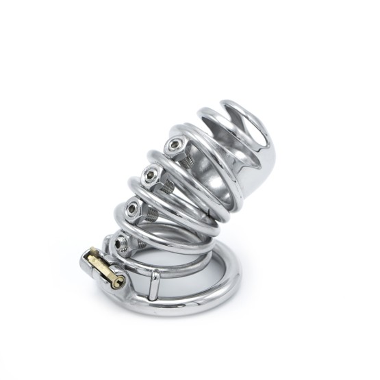 Modern Torture Chastity Device