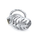 Modern Torture Chastity Device