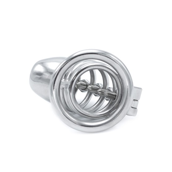 Modern Torture Chastity Device