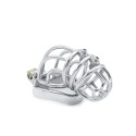 Cruve Torture Chastity Device