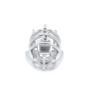 Cruve Torture Chastity Device