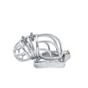 Cruve Torture Chastity Device
