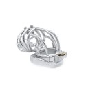 Cruve Torture Chastity Device