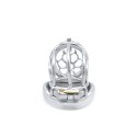 Cruve Torture Chastity Device