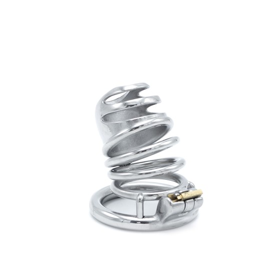 Modern Chastity Device