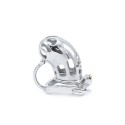 Belted Chastity Device with Ball Divider