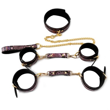 3 Piece BDSM Set Gold/Pink Reptile