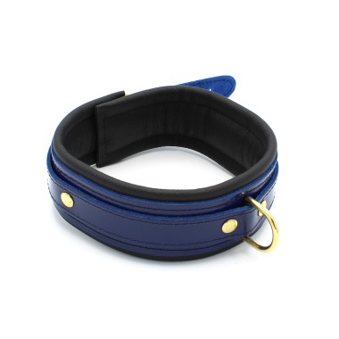 Blue Leather Collar