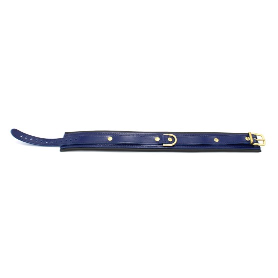 Blue Leather Collar