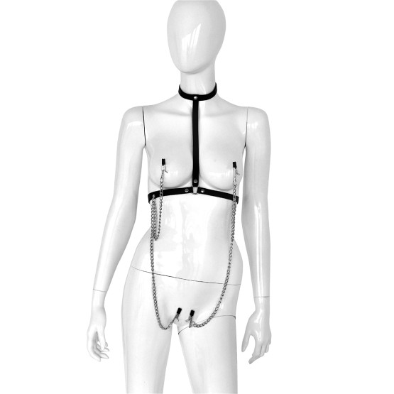 Leather Collar Chest with 4 Clamps