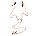 Rose Nipples and Clit Clamps