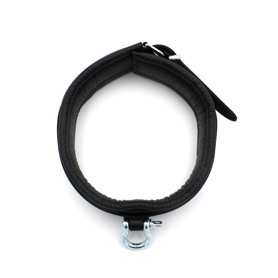 Leather Collar with Metal Shackle