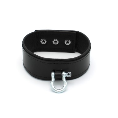 Leather Push Button Collar with Metal Shackle