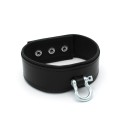 Leather Push Button Collar with Metal Shackle