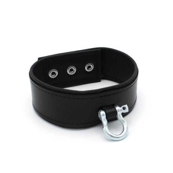 Leather Push Button Collar with Metal Shackle