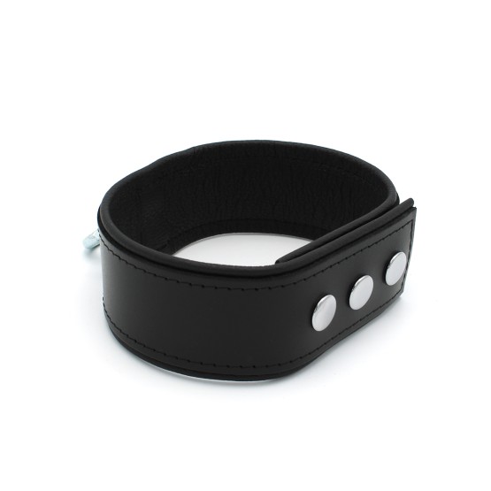 Leather Push Button Collar with Metal Shackle