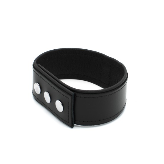 Leather Push Button Collar with Metal Shackle