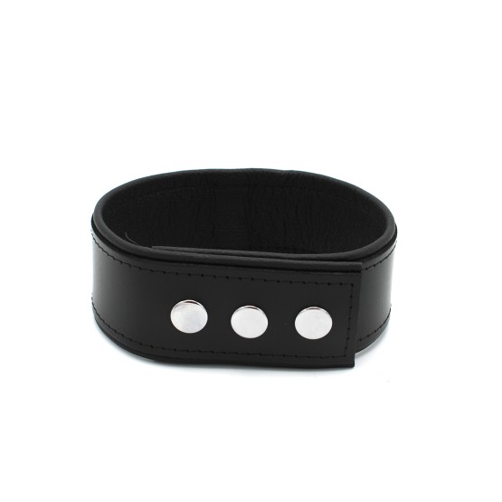 Leather Push Button Collar with Metal Shackle