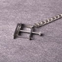 Nipple Clamps with Chain