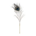 Sevanda Natural Peacock Flirting Feather Tickler
