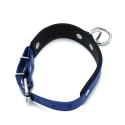 Black & Blue Leather Collar big O-Ring