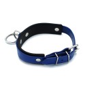 Black & Blue Leather Collar big O-Ring