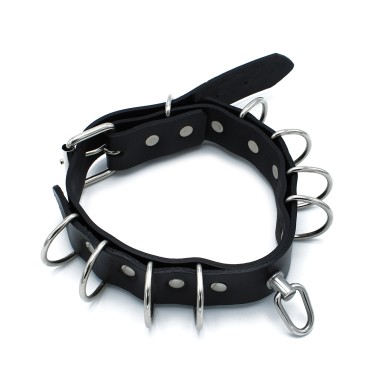 Black Leather Collar Multi-D-Rings