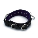 Black Leather Collar Deluxel O-Ring Multi-D-Rings