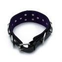 Black Leather Collar Deluxel O-Ring Multi-D-Rings