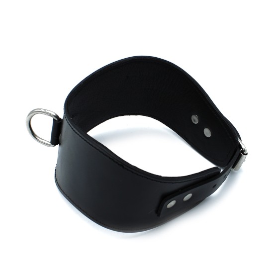 Contoured Black Leather Collar with D-Ring