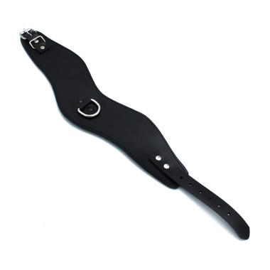 Contoured Black Leather Collar with D-Ring