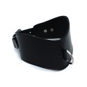 Contoured Black Leather Collar with D-Ring